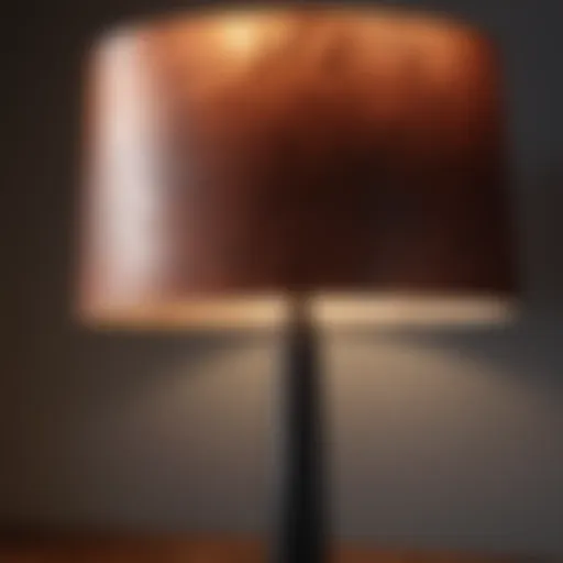 Abstract Modern Lamp Shade Design