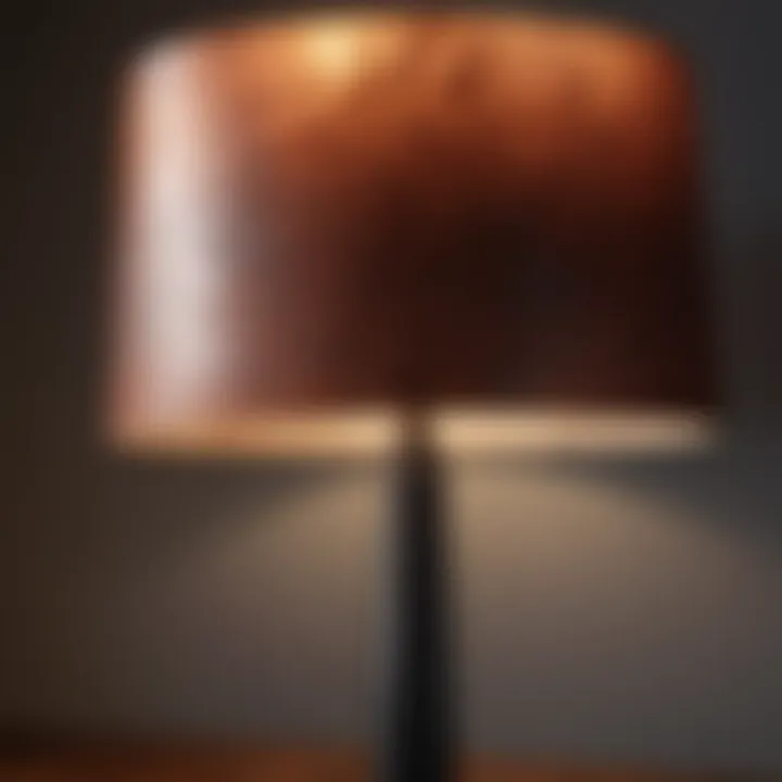 Abstract Modern Lamp Shade Design