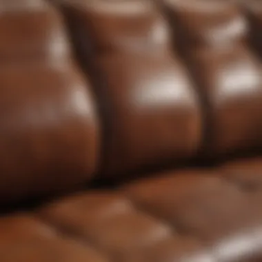 Overview of a leather couch with various stain types