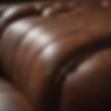 Preventative Techniques for Long-lasting Leather Care Preventative care techniques for leather upholstery