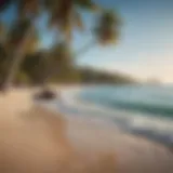 A serene beach with crystal clear waters and lush palm trees lining the shore.