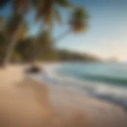 A serene beach with crystal clear waters and lush palm trees lining the shore.