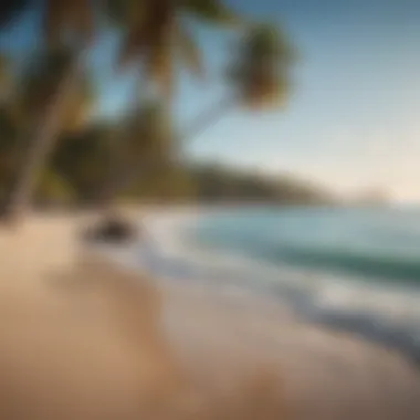 Serene Beach with Palm Trees A serene beach with crystal clear waters and lush palm trees lining the shore.
