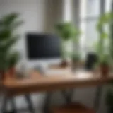 A minimalist desk setup with natural lighting and green plants