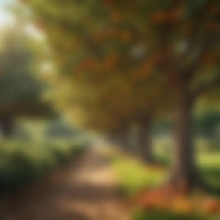 A flourishing orchard featuring a variety of fruit trees in vibrant colors