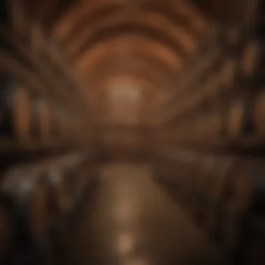 Barrel room in an elegant Napa Valley winery