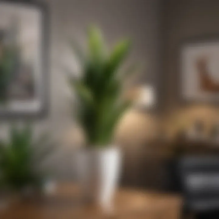 Air-purifying snake plant nestled in a modern office space