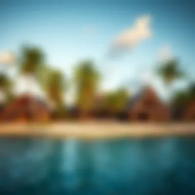 Luxurious Beachside Resort Luxurious beachside resort with palm trees