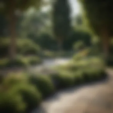 Elegant garden design featuring strategic bush placement