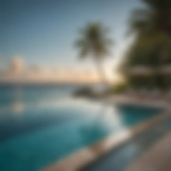 Infinity Pool Overlooking Turquoise Waters