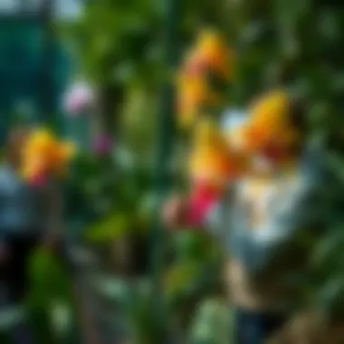 An educational program in progress at the Bronx Botanical Garden focused on orchid conservation.