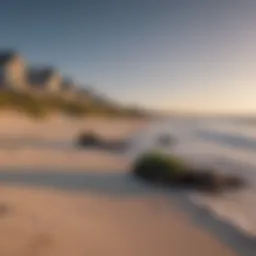 Seaside Serenity at Cape Cod