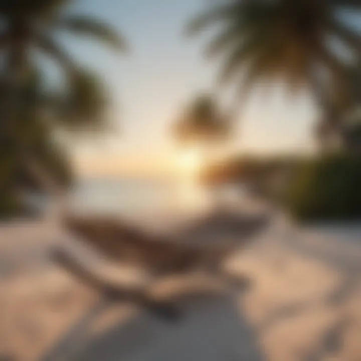 Pristine Beach with Hammock and Palm Trees