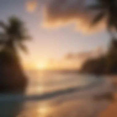 Tropical Paradise Sunset