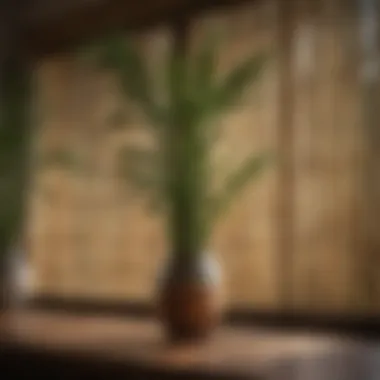 Natural Bamboo Shades Chic bamboo shades bringing natural elements indoors