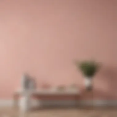 Chic Blush Pink Wall Paint