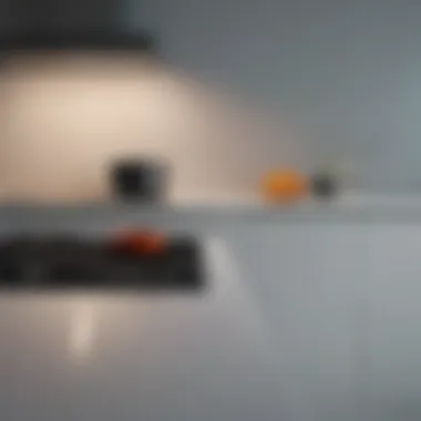 Chic Minimalist Kitchen Colors