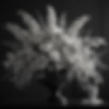 Monochrome Magnificence Chic Monochrome Floral Arrangement