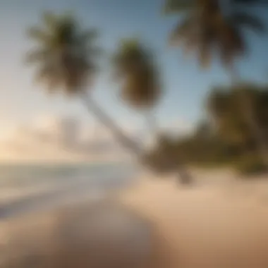 Palm Trees Lining Pristine Florida Beach
