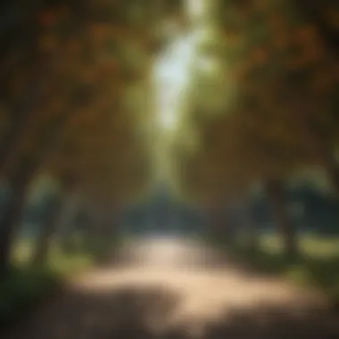 Elegant Fruit Tree Canopy Elegant Fruit Tree Canopy