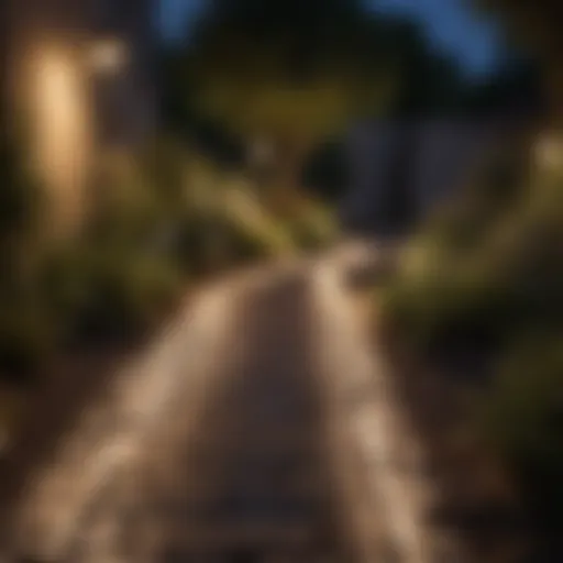 Elegant outdoor solar light illuminating garden pathway