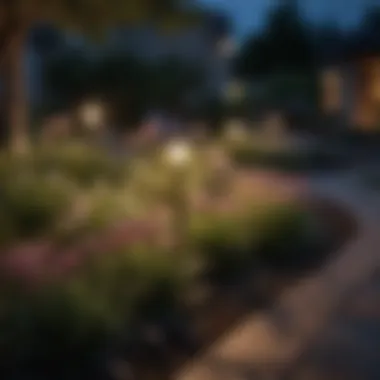 Dusk Garden Accentuation Solar light highlighting intricate garden landscaping at dusk