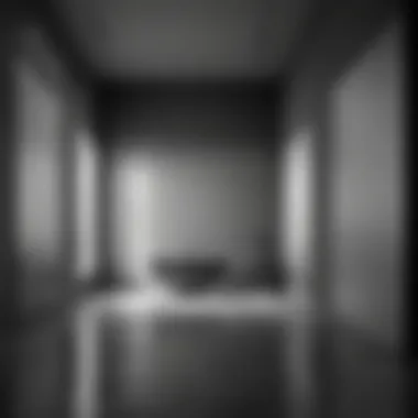 Minimalistic Elegance in Monochrome