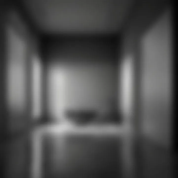 Minimalistic Elegance in Monochrome