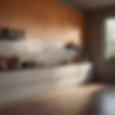 Kitchen with natural light enhancing wall color choices