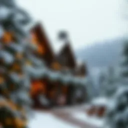 A cozy lodge decorated for Christmas with snow-covered trees