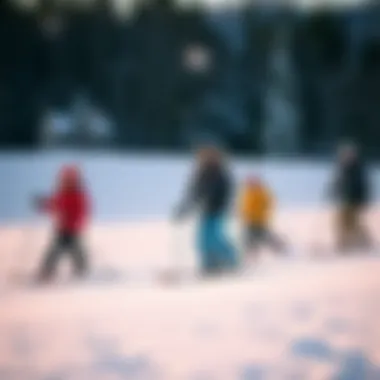 A group of friends enjoying outdoor winter activities like skiing and snowboarding