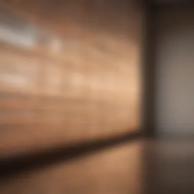 Contemporary sheer shades allowing soft light to filter through