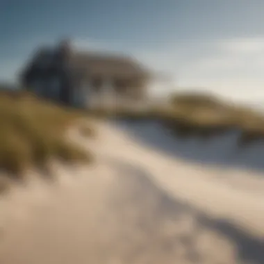 Cozy cottage nestled among sand dunes