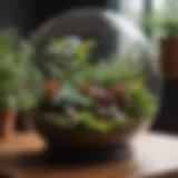 An elegant terrarium showcasing a variety of unique plant species