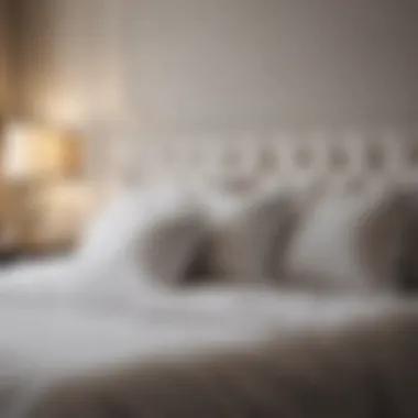 Complementing Decor with White Bedding Decorative elements complementing white bedding