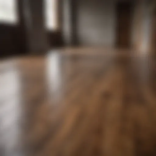 Gleaming hardwood floor after proper mopping