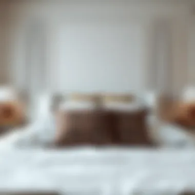 Elegant bedroom with plush bedding