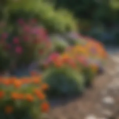 Colorful Flower Bed Border Colorful flower bed border