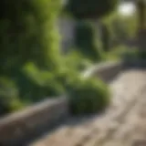 Lush greenery and stone border in outdoor space