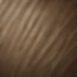 Exquisite Grasscloth Wallpaper Texture
