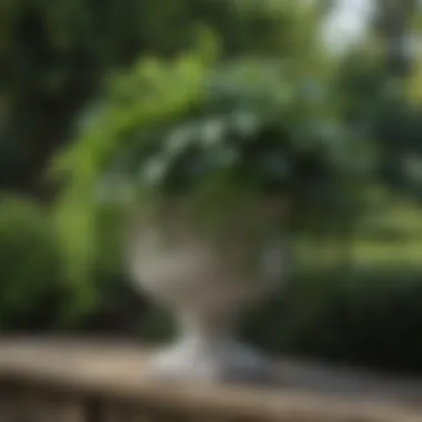 Lush greenery spilling over from an elegant English garden planter