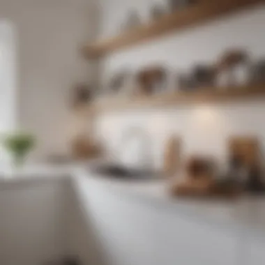 White Painted Kitchen Wall with Elegant Decor