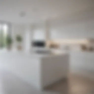 Minimalist White Kitchen Interior