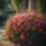 Elegant Floral Symphony