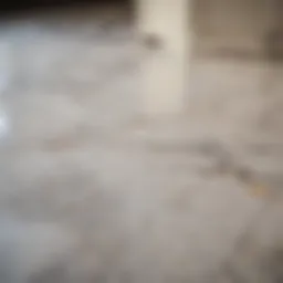 Elegant Kitchen Floor Tile