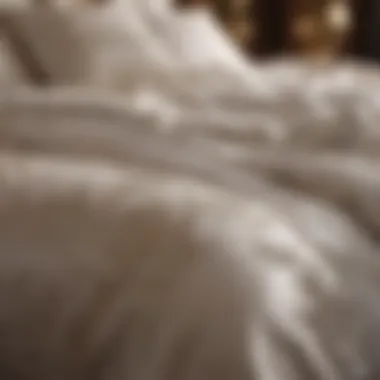 Elegance and Sophistication of Pratesi Comforter