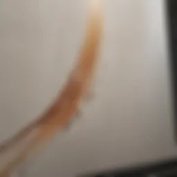 Elegant Brush Strokes