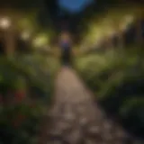 Illuminated pathway through lush garden at night