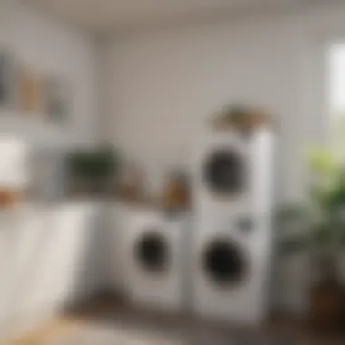 Contemporary painting adorning laundry room wall