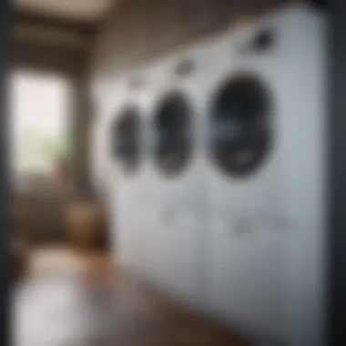 Sculptural art piece enhancing laundry room decor